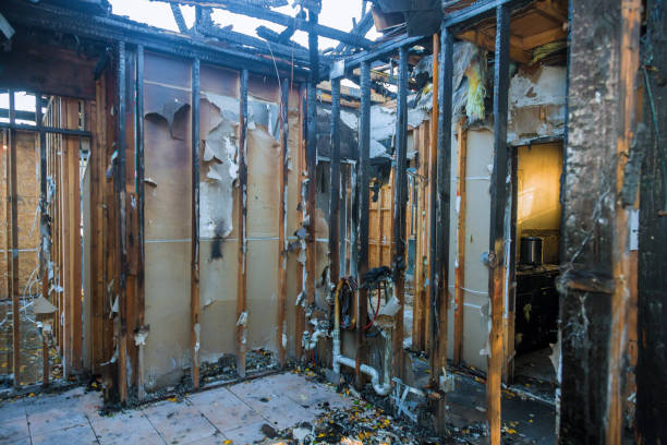 Professional Fire Damage Removal technician working in Martinsville, IL